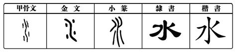 水字|漢字「水」：字形演變